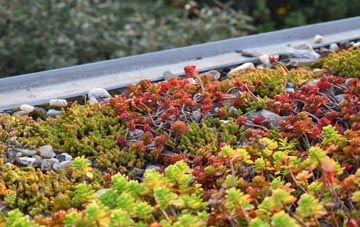 the cost of Ardsley green roof installation