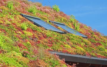 Ardsley living roof systems
